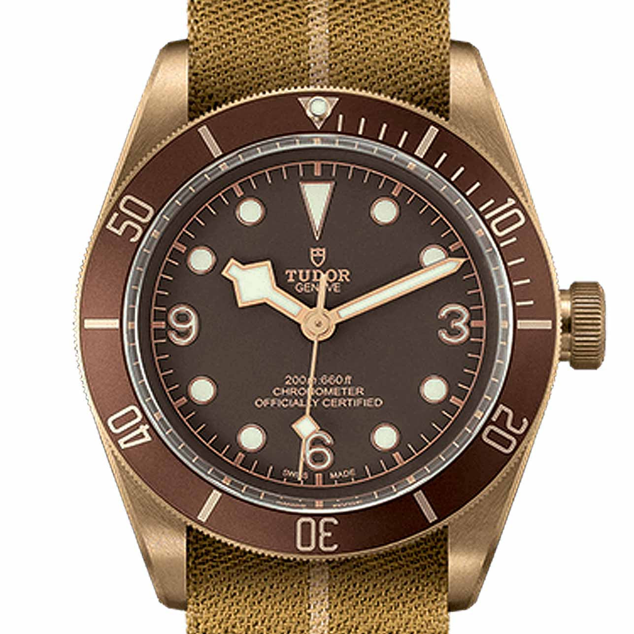 The Tudor Heritage Black Bay Bronze