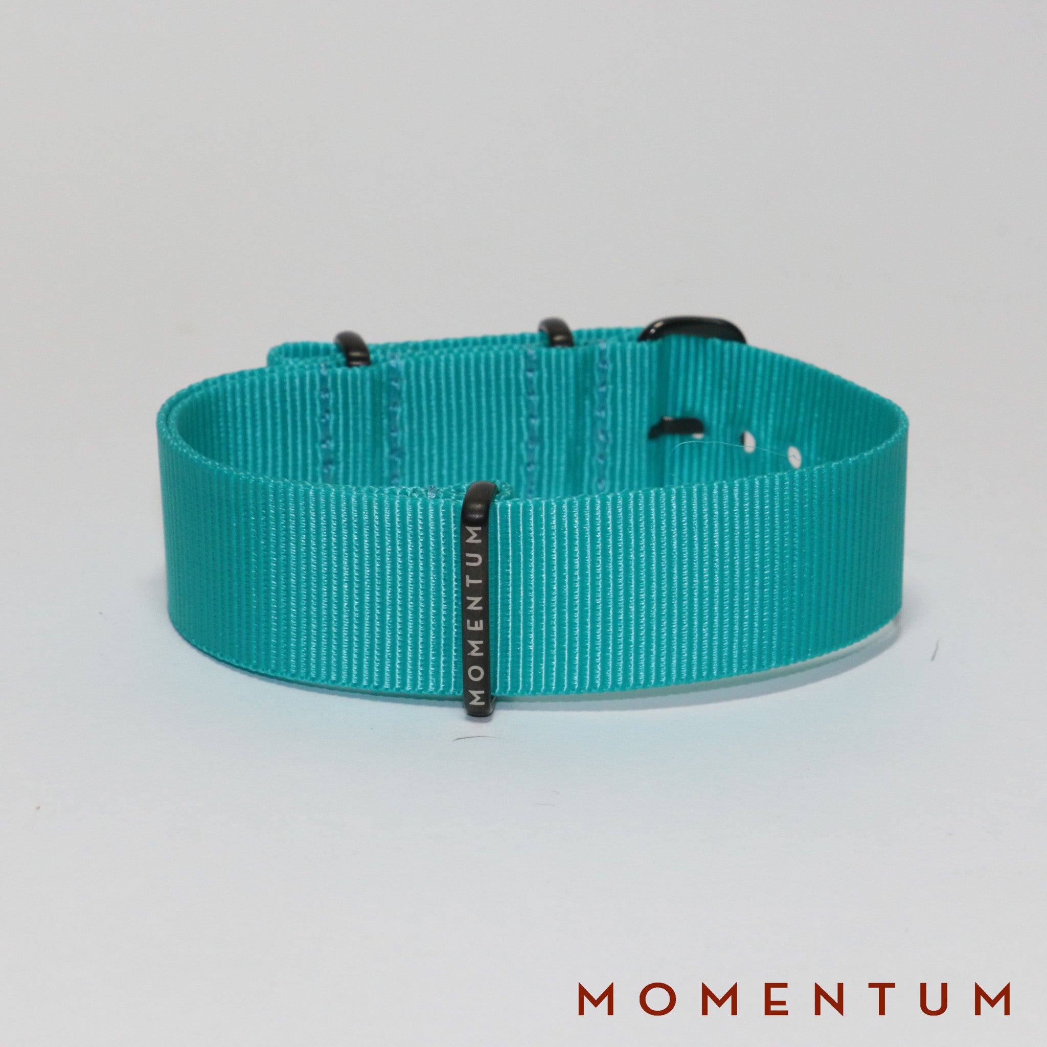 Nato Strap Baby Blue - Momentum Dubai